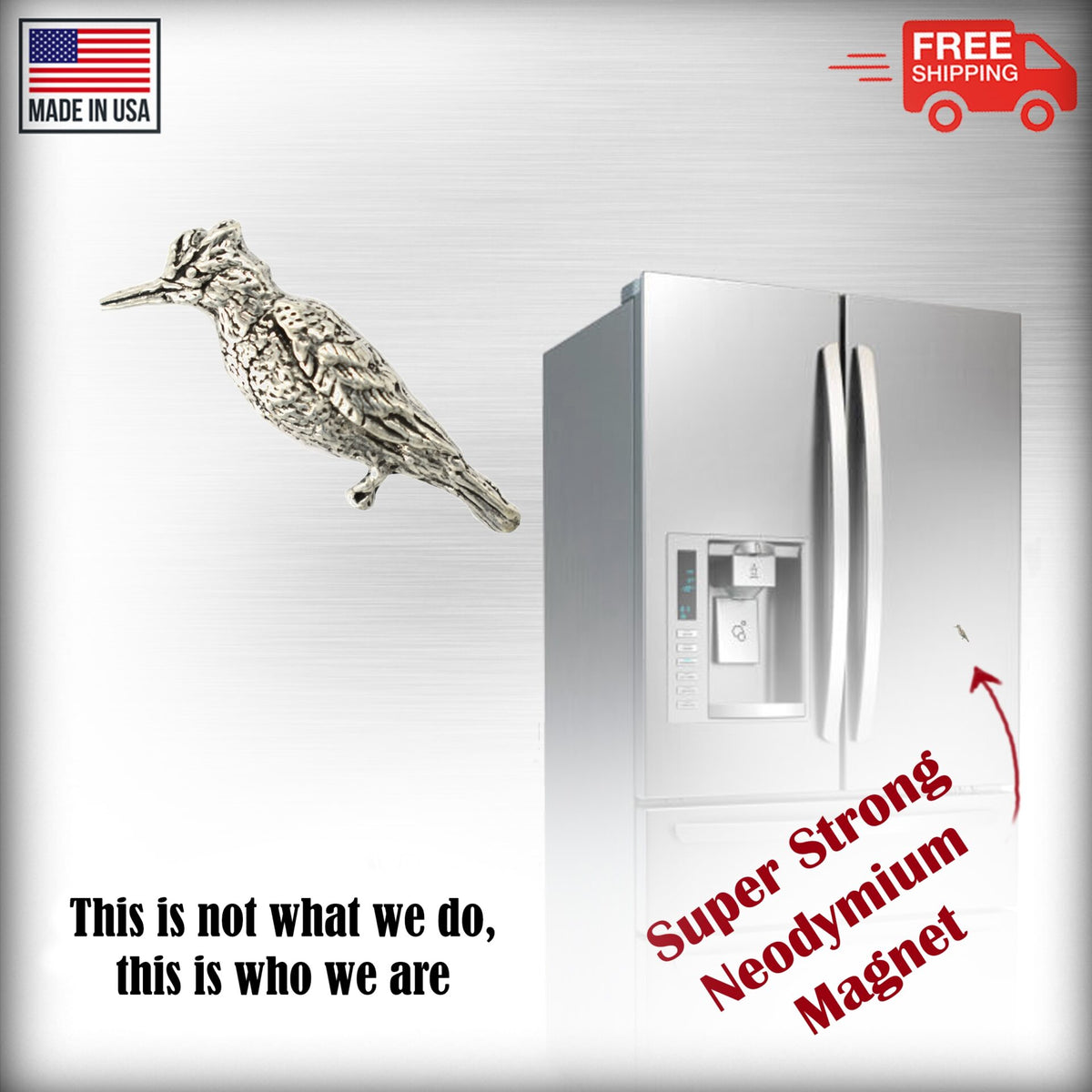 Downey Woodpecker Magnet B117