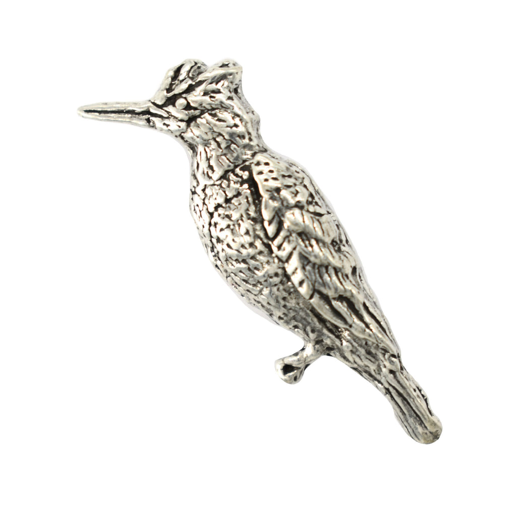 Downey Woodpecker Magnet B117