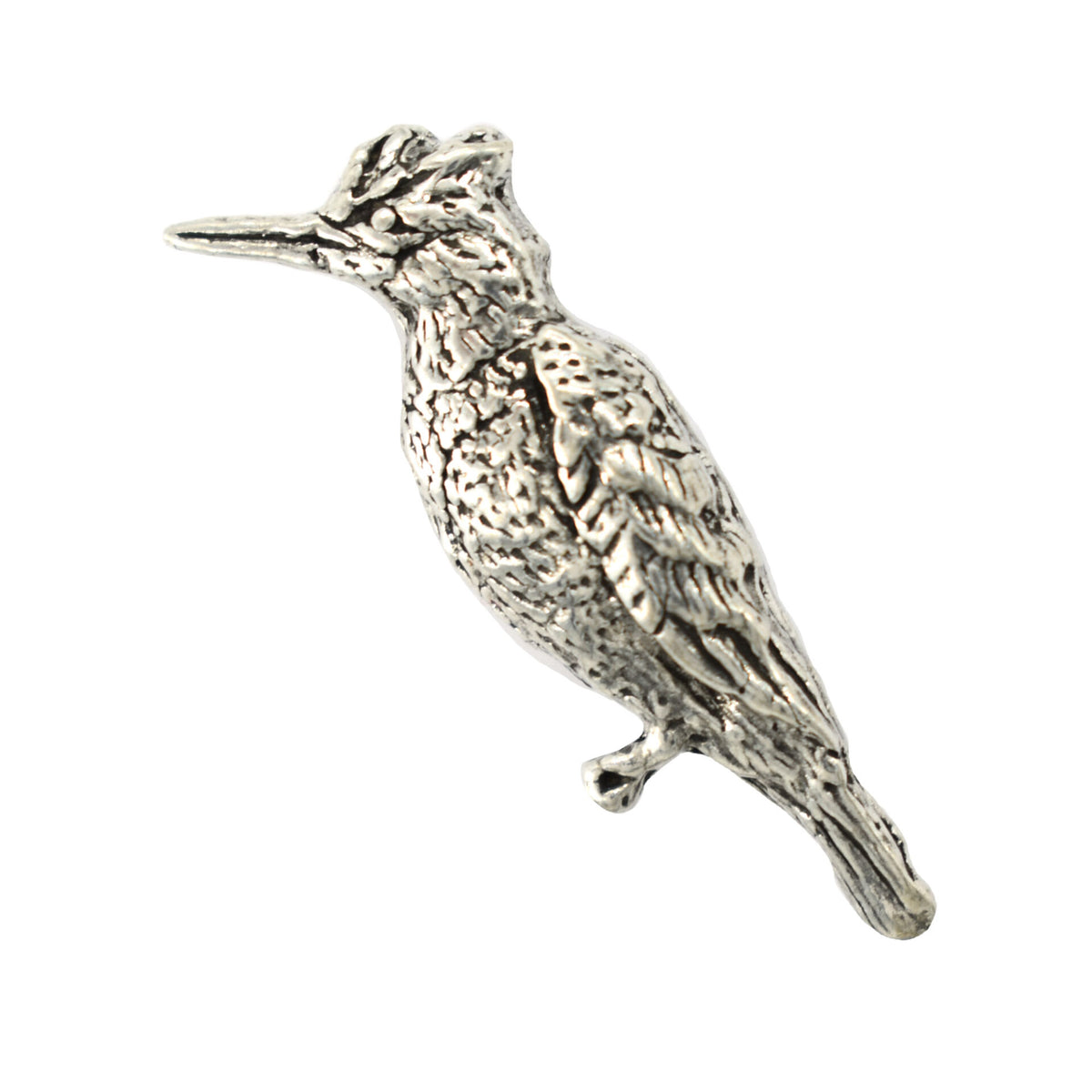 Downey Woodpecker Magnet B117