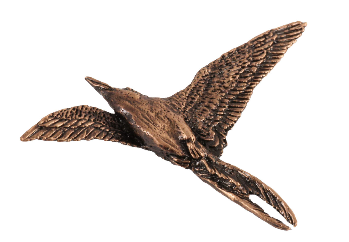 Arctic Tern Premium Pin B079APR