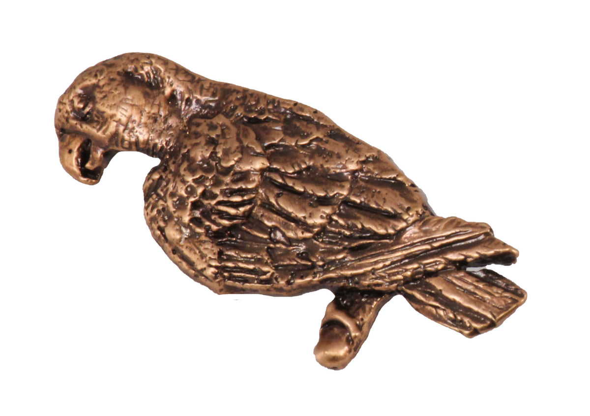Amazon Parrot Pin B094