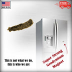 Turkey Feather Magnet B040