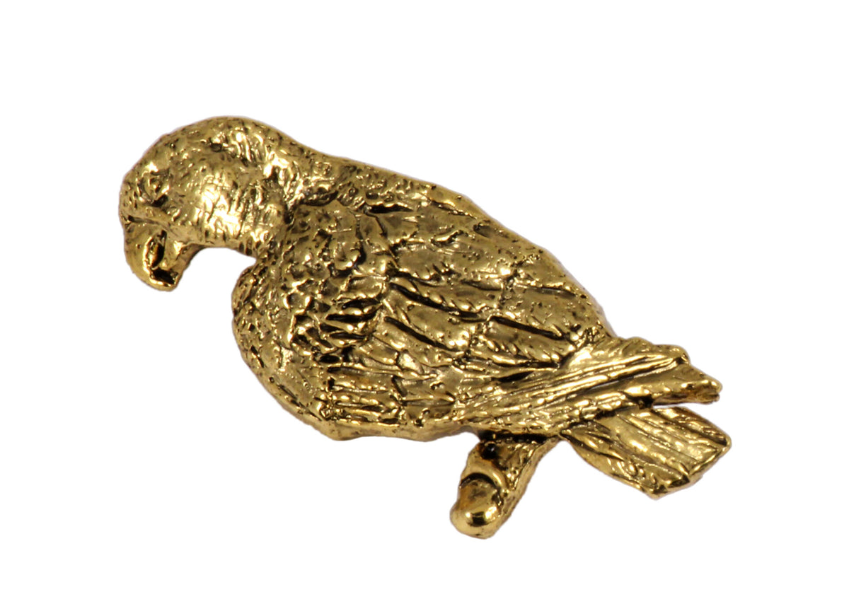 Amazon Parrot Magnet B094