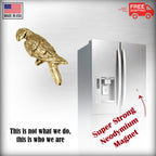 Macaw Parrot Magnet B096