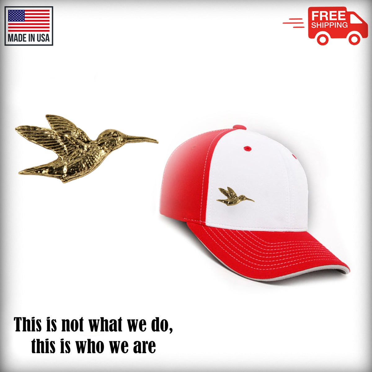 Hummingbird Pin B104