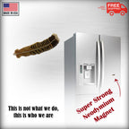Turkey Feather Magnet B040
