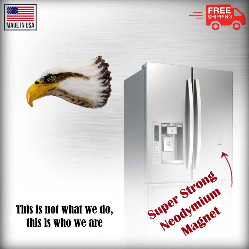 Bald Eagle Head Magnet B050