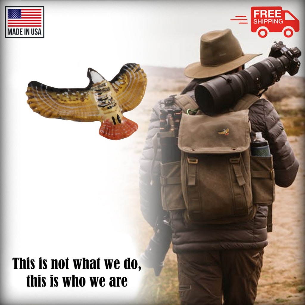 Red-Tailed Hawk Pin Pin B056