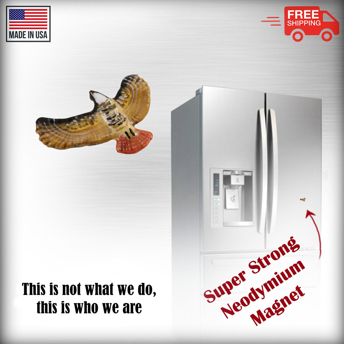 Red-Tailed Hawk Magnet Magnet B056
