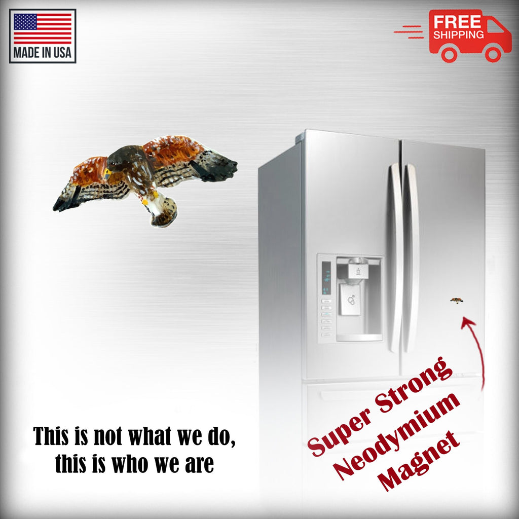 Red-Tailed Hawk Magnet Magnet B057