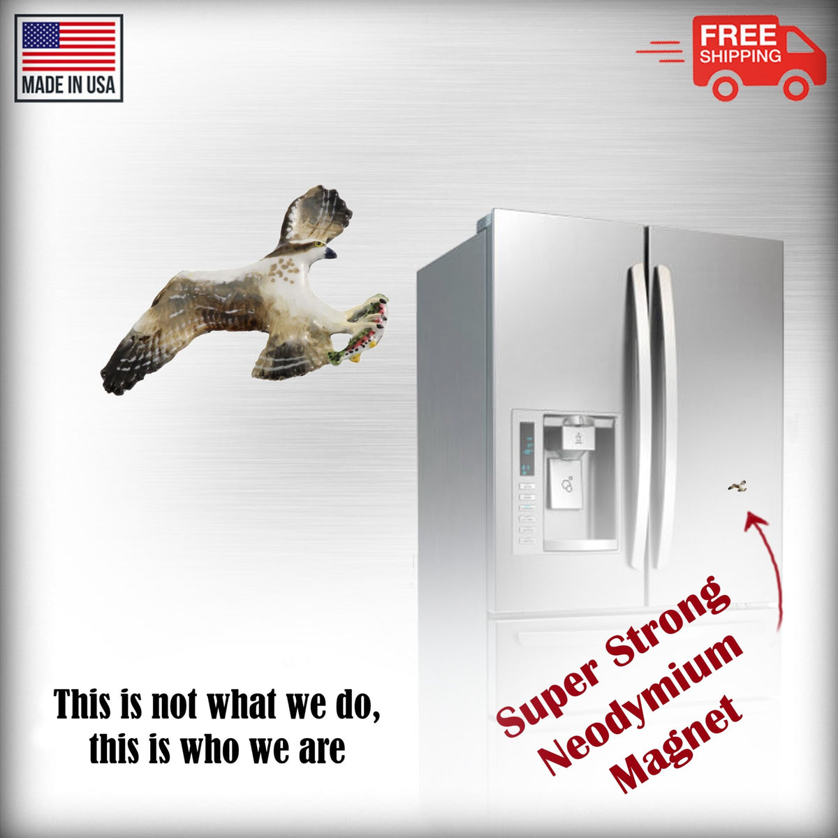 Osprey With Trout In Claws Magnet Magnet B058
