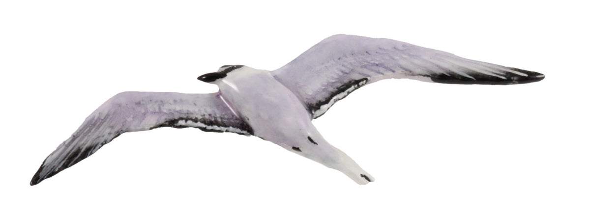 Aleutian Tern Premium Magnet B079PR