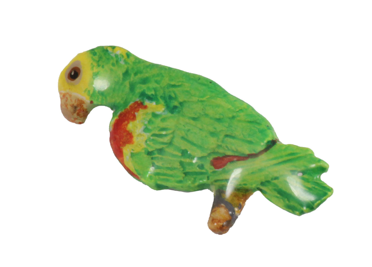 Amazon Parrot Magnet B094