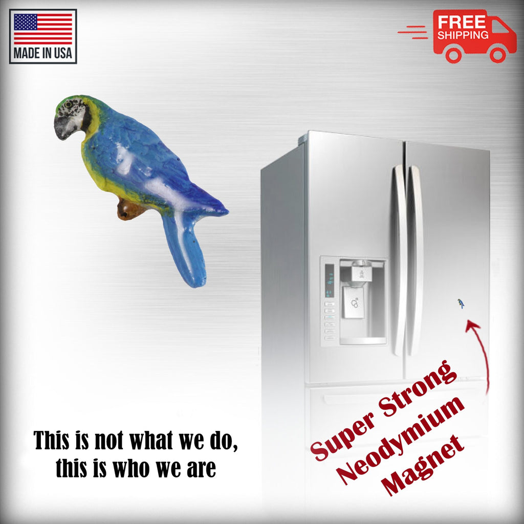 Macaw Parrot Magnet B096