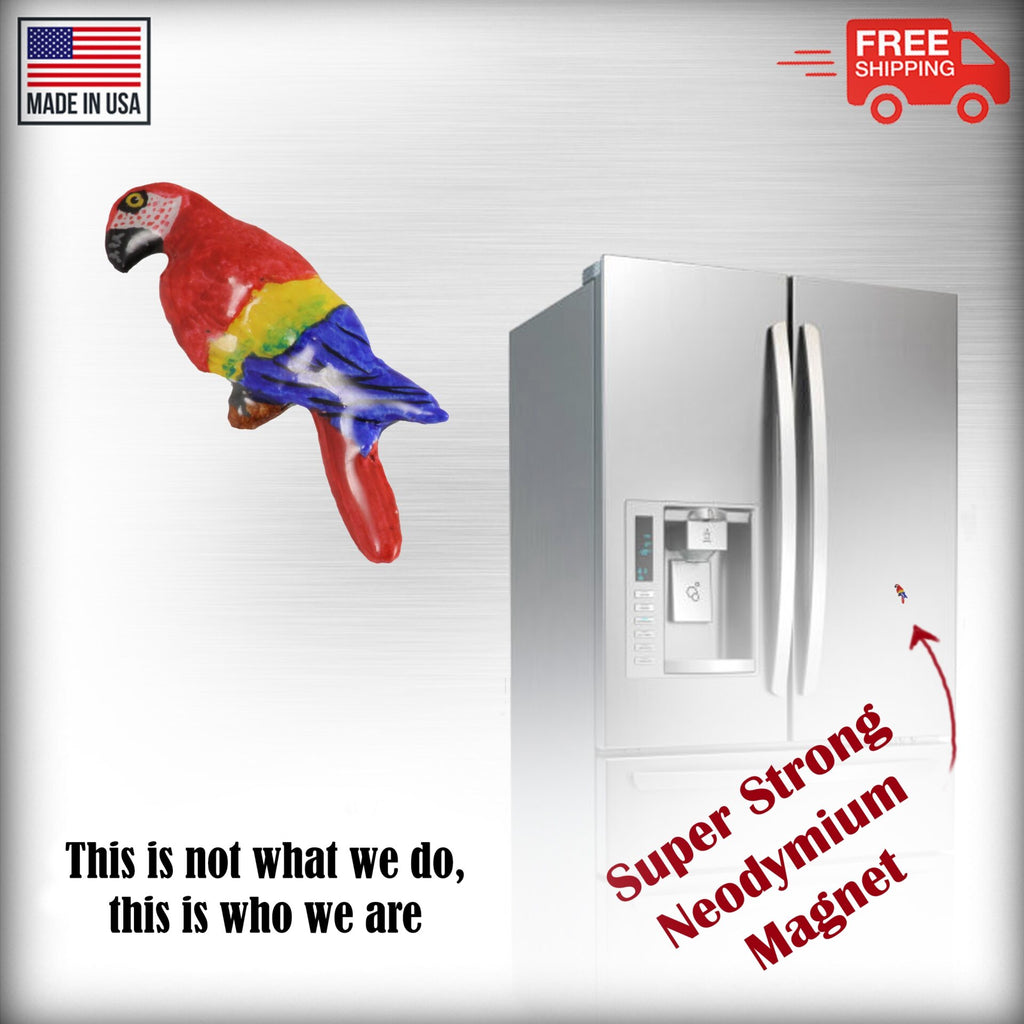 Macaw Parrot Magnet B096