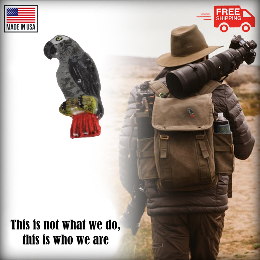 African Grey Parrot Pin B097