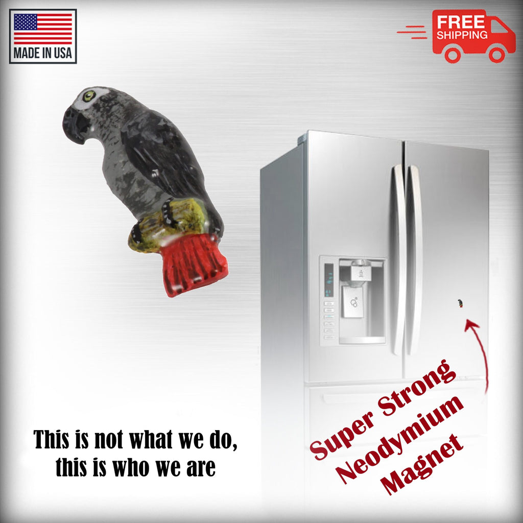 African Grey Parrot Magnet B097
