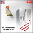 Cockatoo Magnet B098