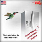 Hummingbird Magnet B104