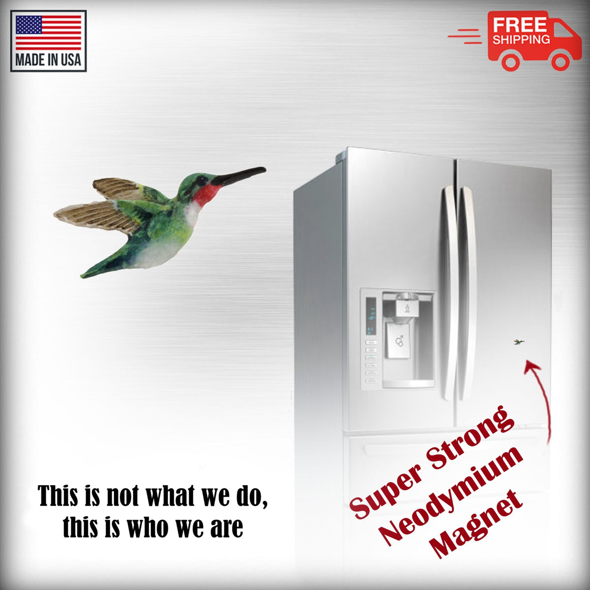 Hummingbird Magnet B104