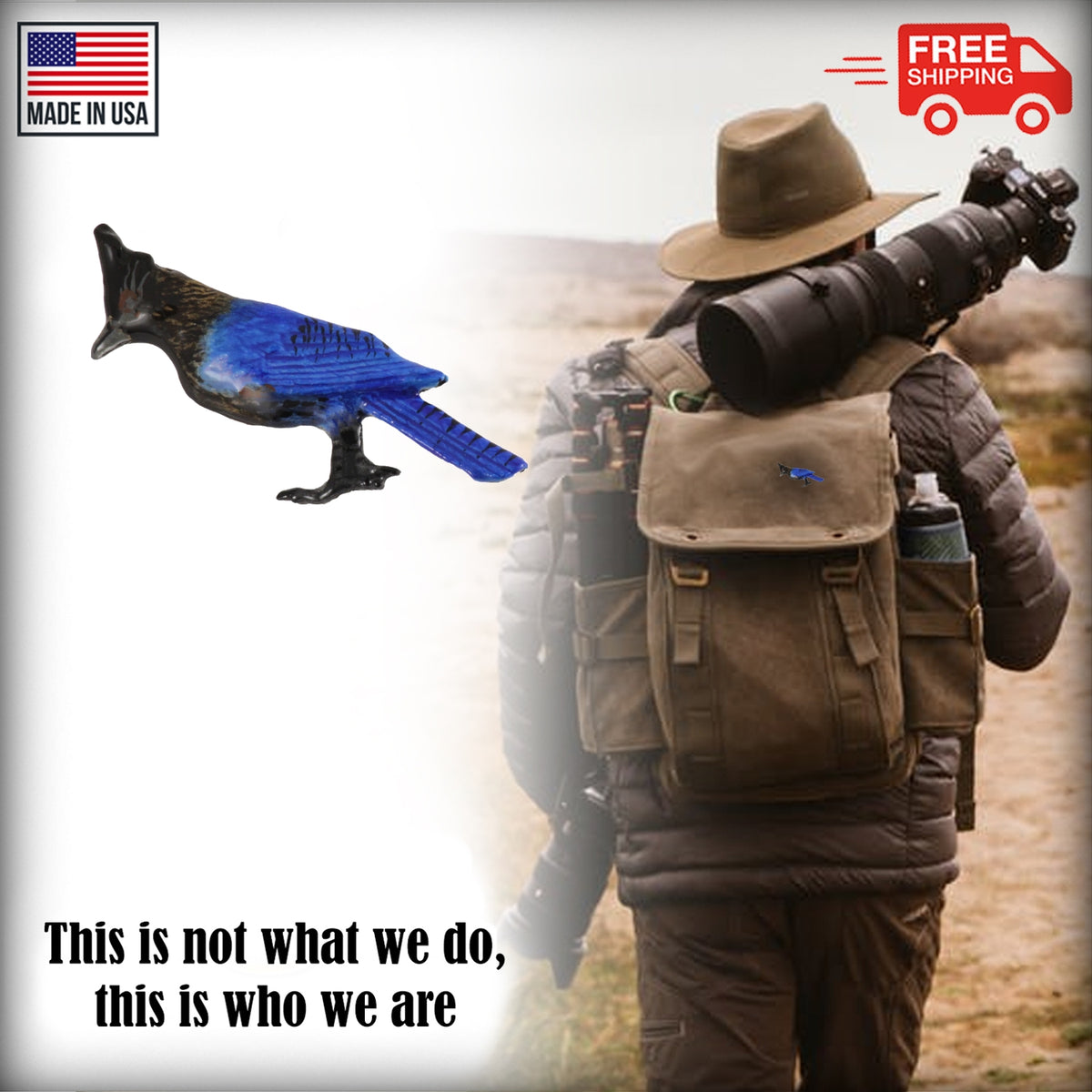 Steller’s Jay Pin B110