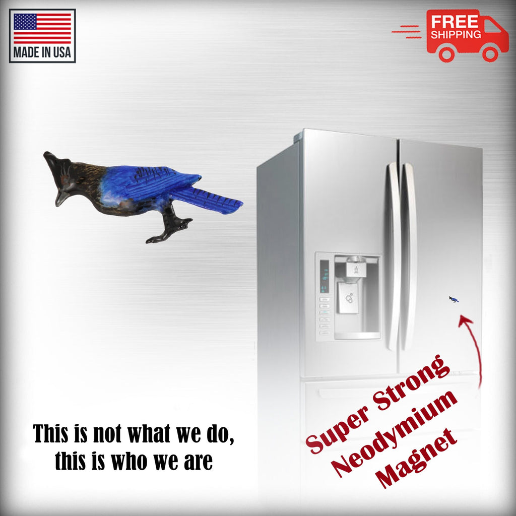 Steller’s Jay Magnet B110