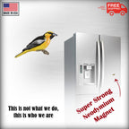 Oriole Magnet B113