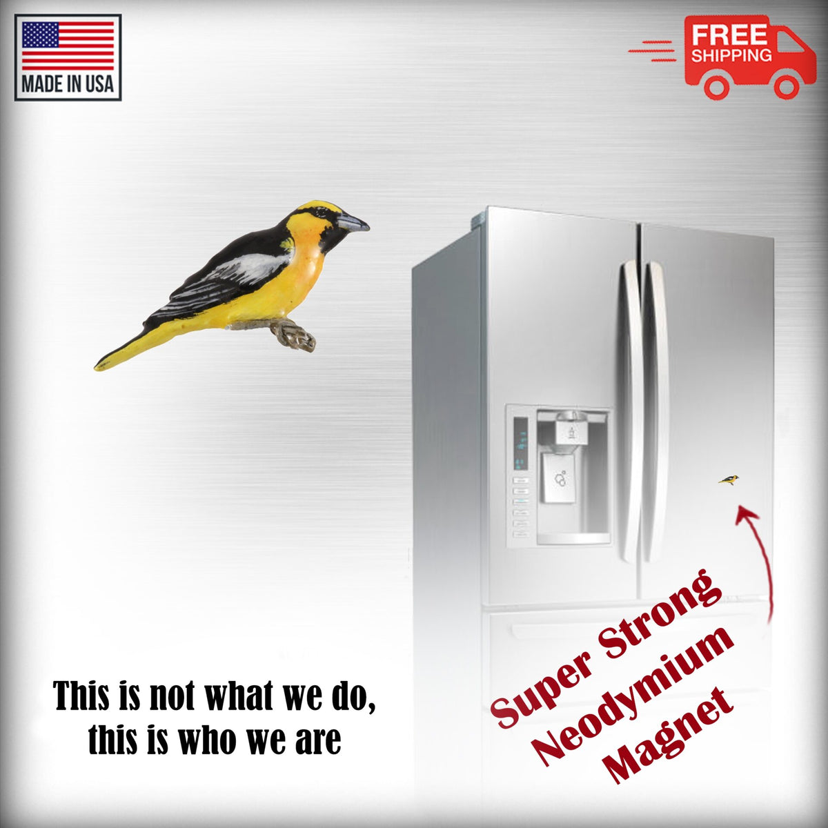 Oriole Magnet B113