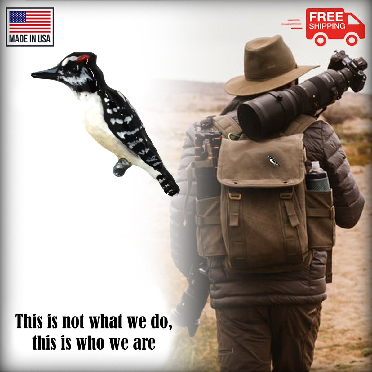 Downey Woodpecker Pin B117
