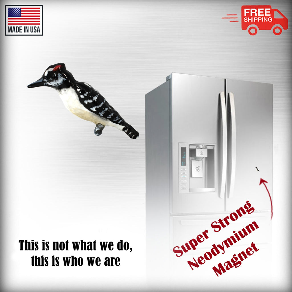 Downey Woodpecker Magnet B117