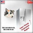 Alley Cat Magnet C003M