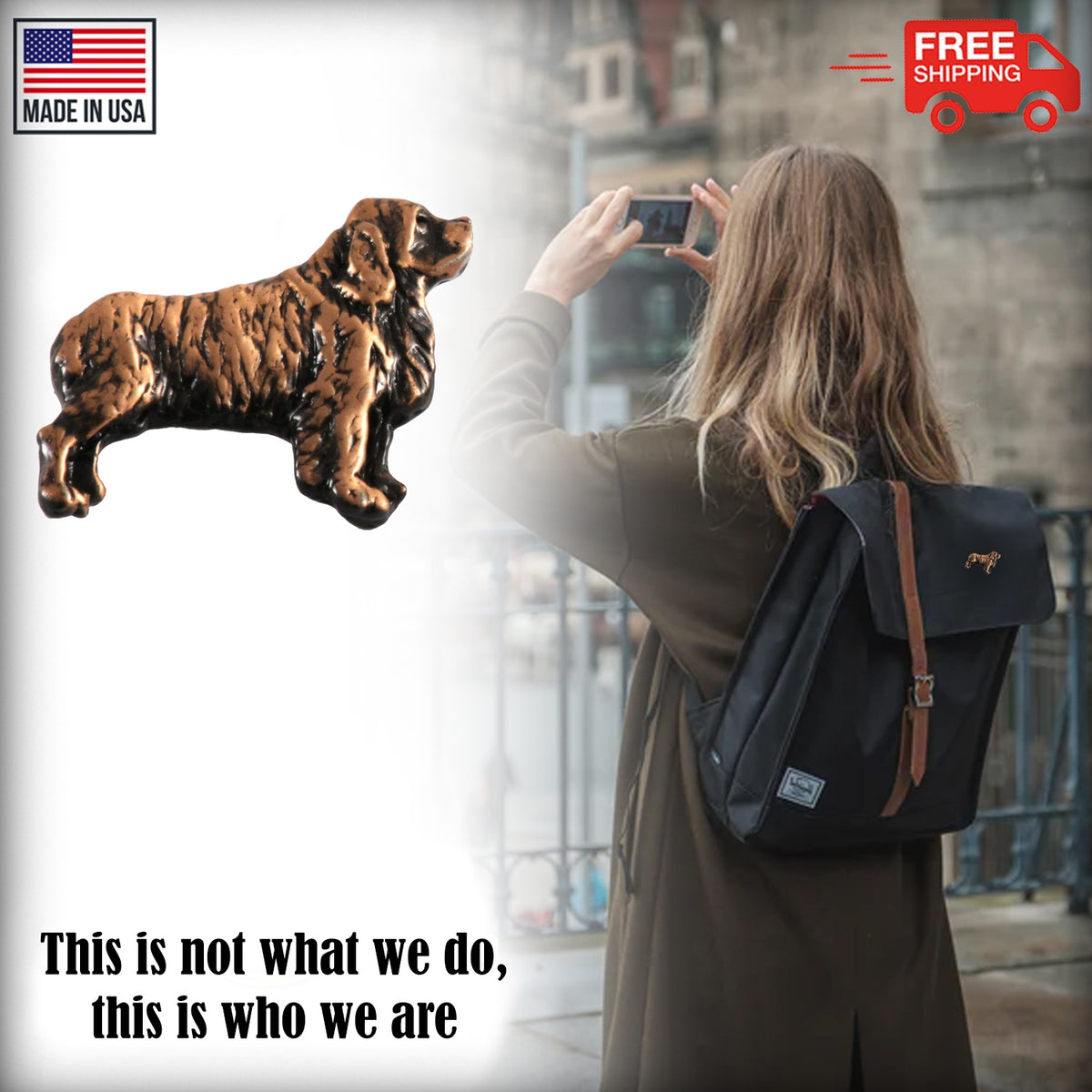 Clumber Spaniel Dog Full Body Pin D356F