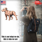 Pit Bull Dog Full Body Pin D438F