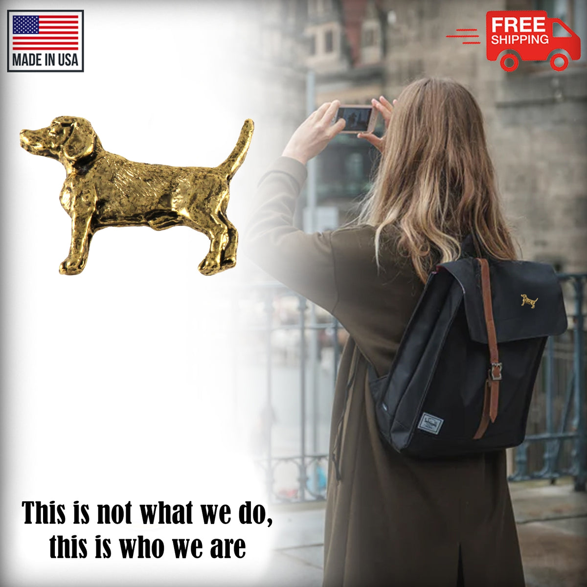 Beagle Dog Full Body Pin D322F
