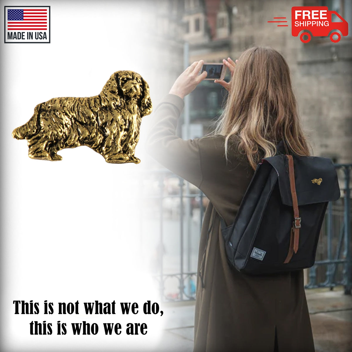 Cavalier King Charles Full Body Pin D344F