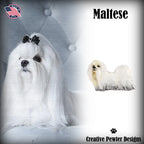 Maltese Full Body Pin D420F