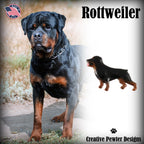 Rottweiler Dog Full Body Pin D450F
