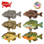 Sunfish Pin F070