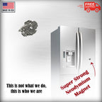 Betta Fish Magnet F104