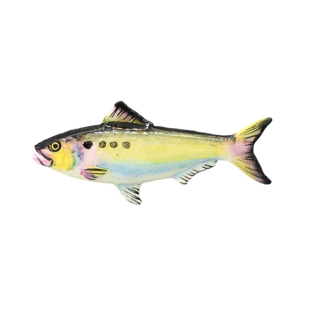 American Shad Pin F027