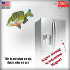Sunfish Magnet F070