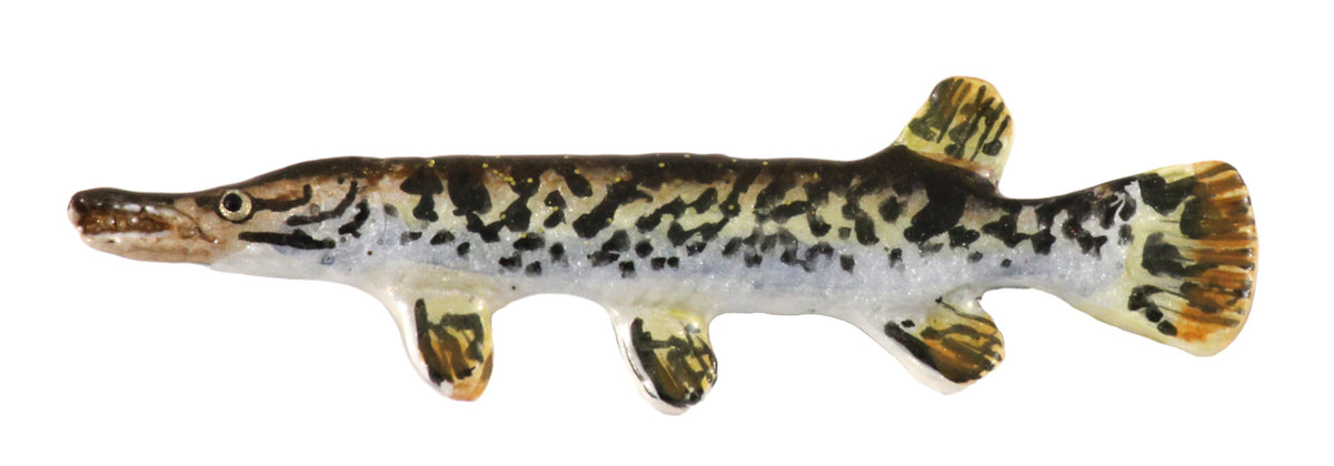 Alligator Gar Magnet F080