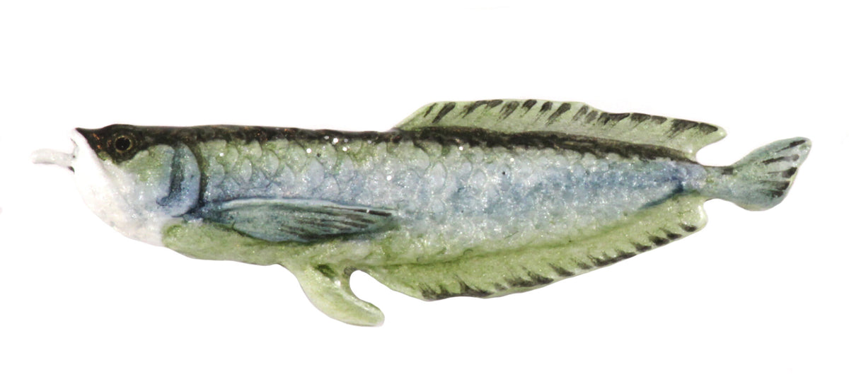 Arawana Magnet F097