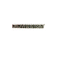 Democrat Pin L103