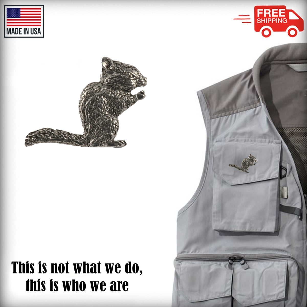 Cliff Chipmunk Pin M183