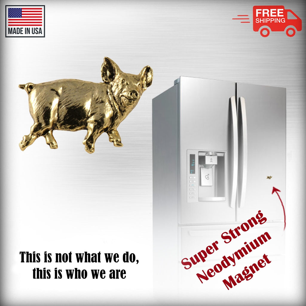 Domestic Pig Magnet M192