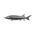 Pewter Sturgeon 96'' Club Pin P396