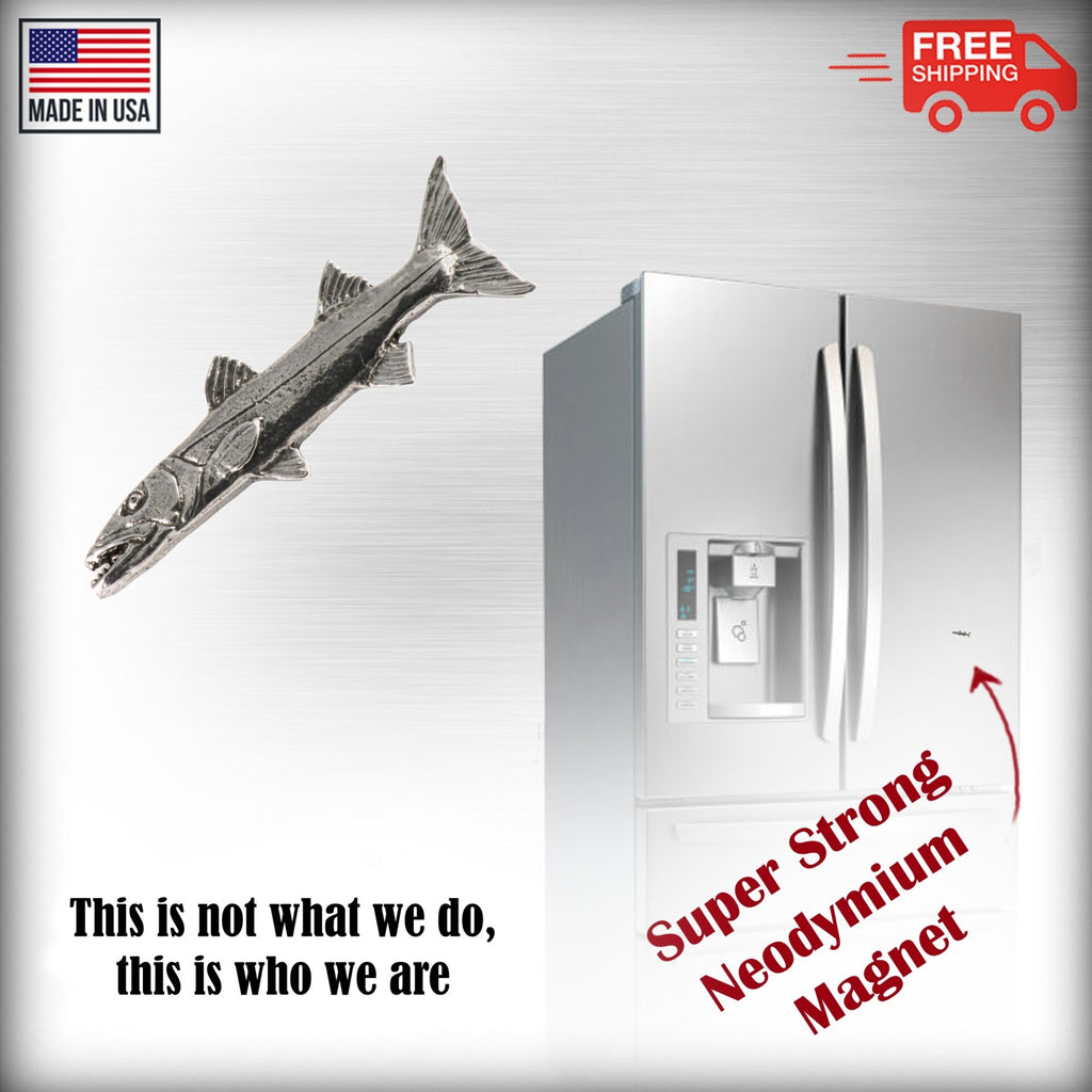 Barracuda Magnet S012