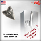 Prehistoric Shark Tooth Magnet S128