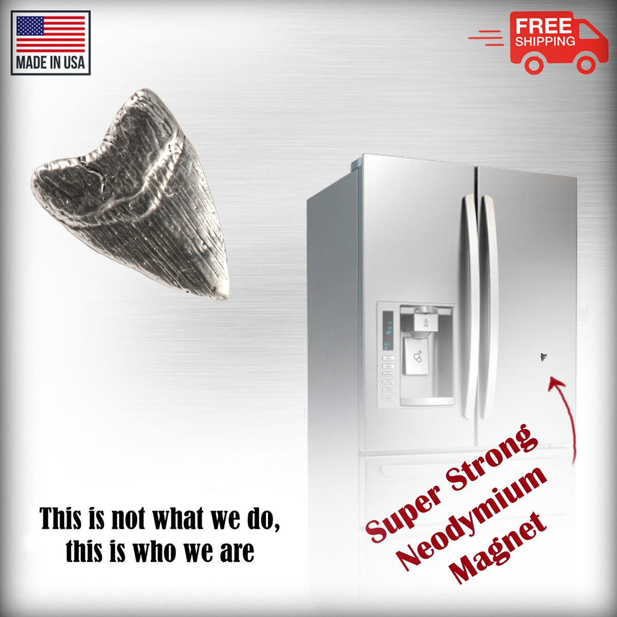 Prehistoric Shark Tooth Magnet S128